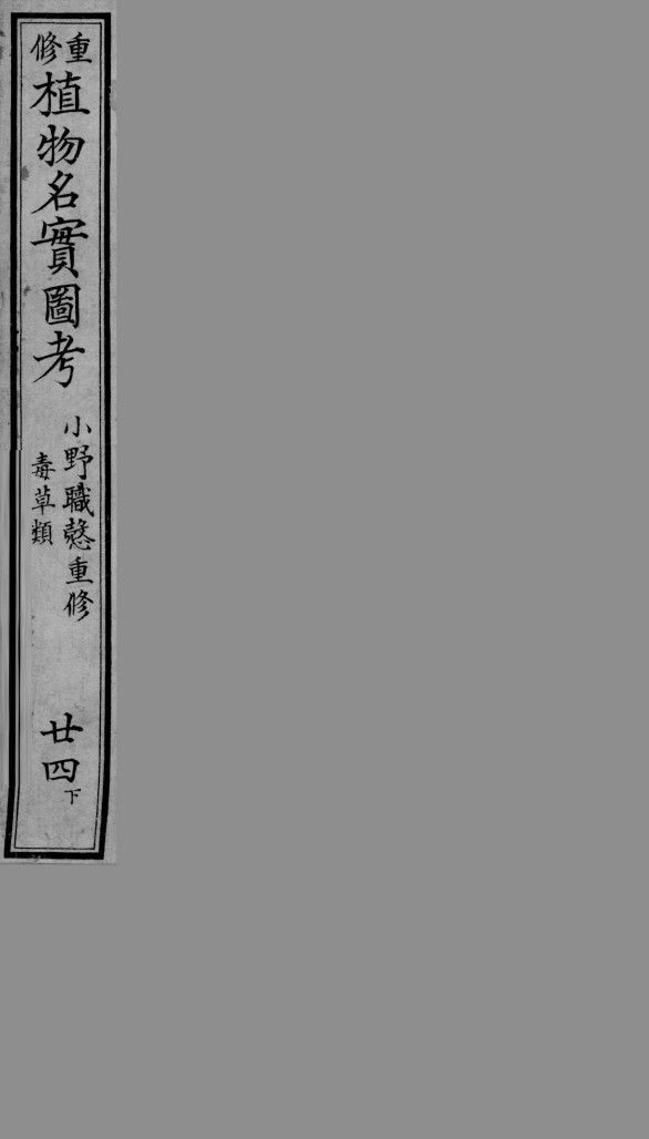 植物名实图考  24  下